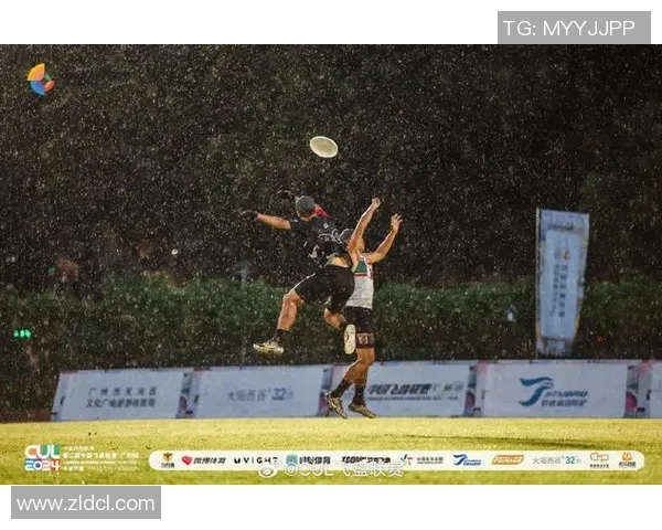 飞盘运动的魅力与挑战：深入探讨上海飞盘队的耐力训练与表现